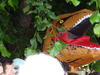 DSC00303.jpg