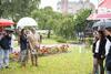 GayLussac_500ans_©RNA-Service-Inventaire-Patrimoine-Clement-Descubes_2025 (51) - Copie.jpg