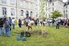 GayLussac_500ans_©RNA-Service-Inventaire-Patrimoine-Clement-Descubes_2025 (58) - Copie.jpg