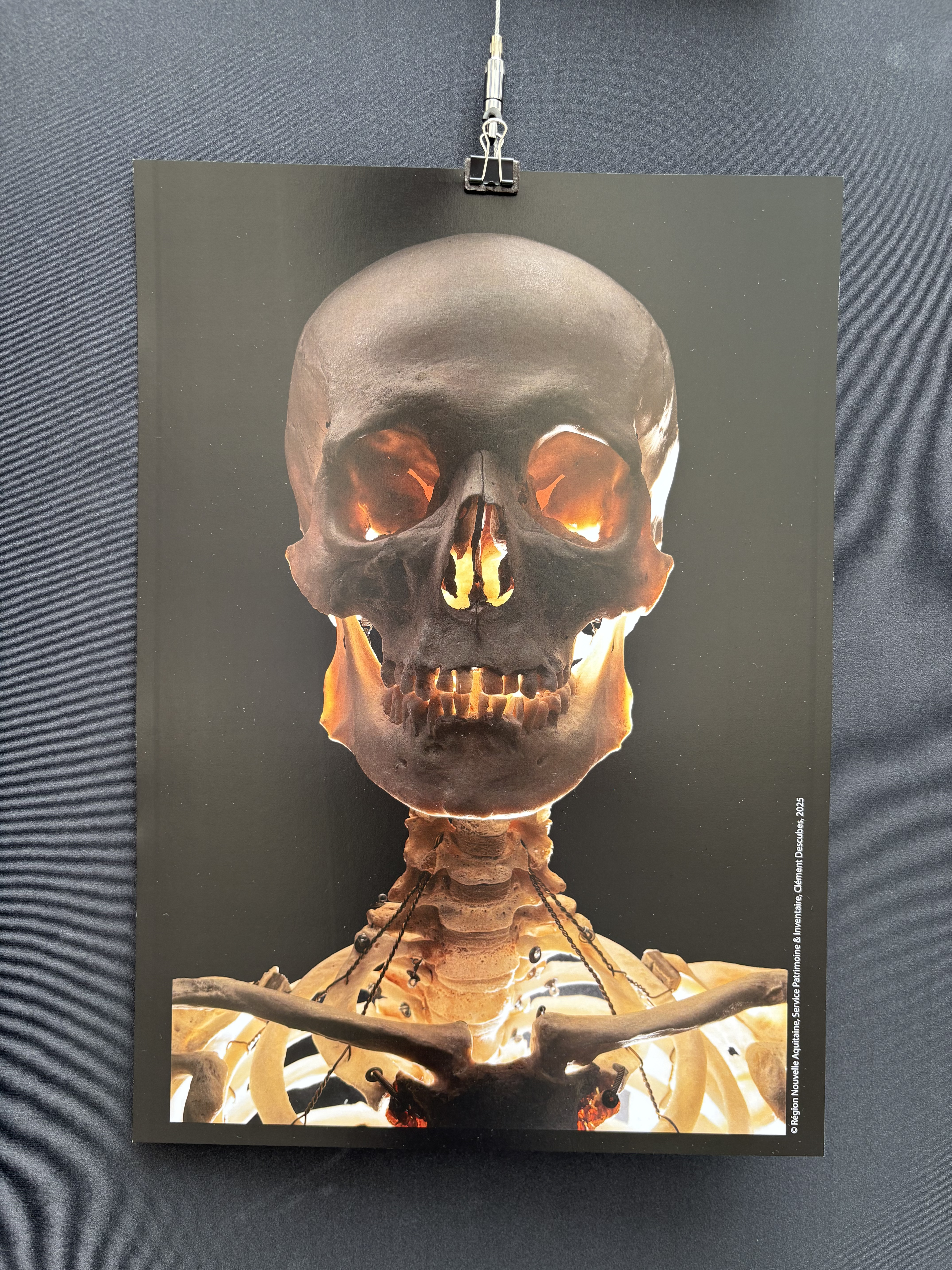 Cover Galerie
